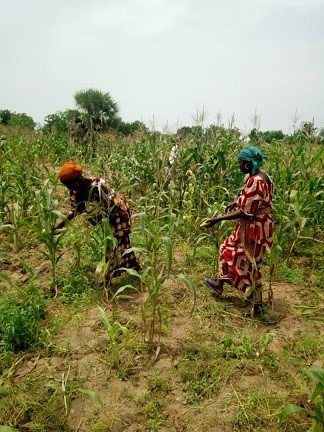 <a href="/AMukwashi/">Amanda Khozi Mukwashi</a> <a href="/FAO/">Food and Agriculture Organization</a> <a href="/OCHANigeria/">UNOCHA Nigeria</a> <a href="/ActionAidNG/">ActionAid Nigeria</a> <a href="/WFP_Nigeria/">WFP Nigeria</a> Through our humanitarian interventions in North-East Nigeria, we have improved the food security and livelihoods of over 27,532 internally displaced people in Adamawa, Borno and Gombe states.  #CEOsVisit