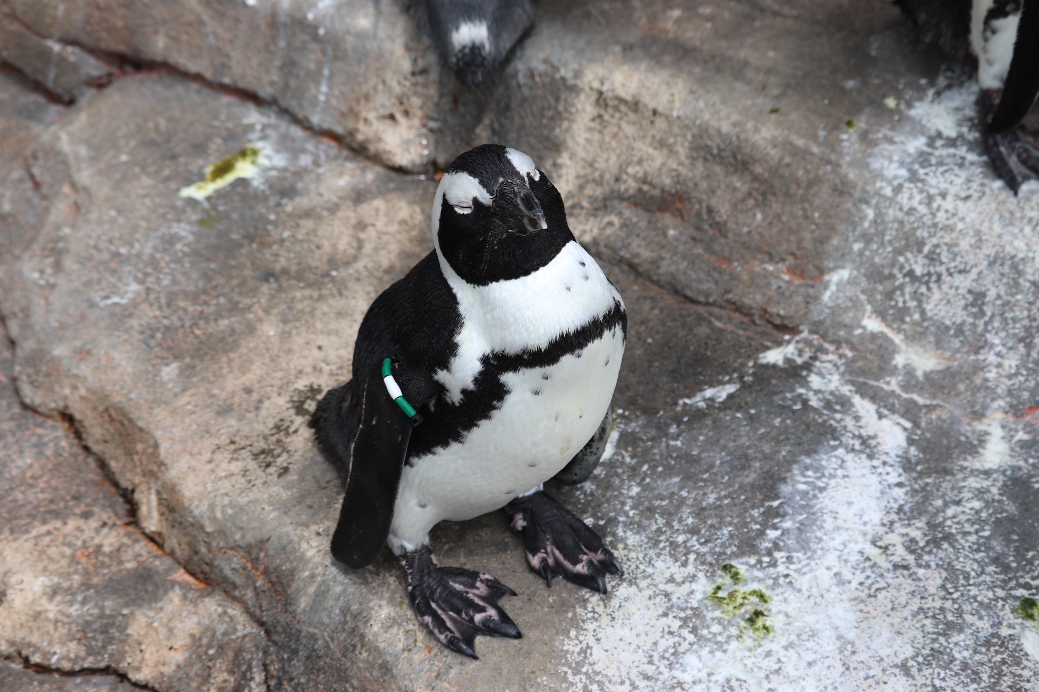 なっちゃん❤️ なっちゃん❁⃘*.ﾟ (@nacchan1004.as) • Instagram photos and videos