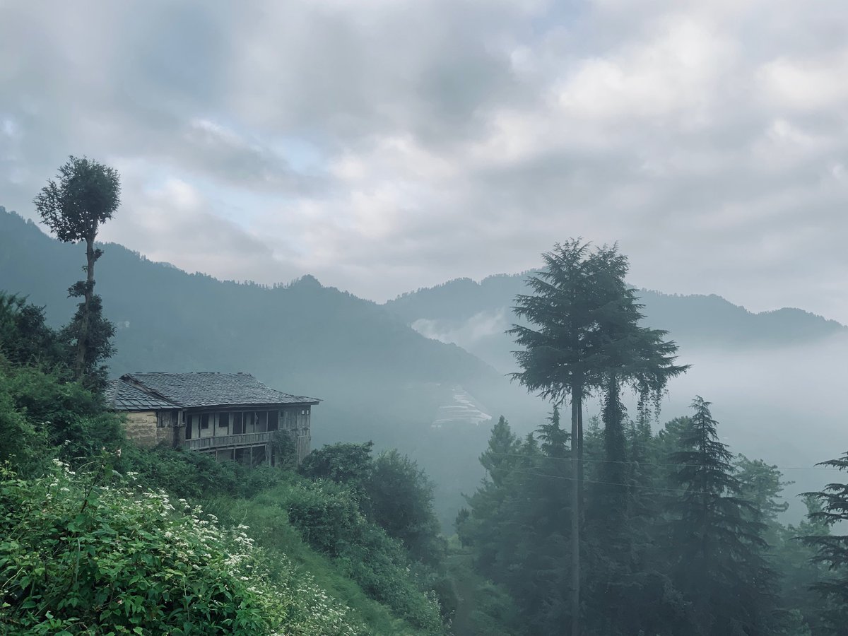 drnipunjindal's tweet photo. The true smell of the Himalayas if once creeps into the blood of a man, that man will at the last, forgetting all else, return to the hills to die.
#HimalayaDiwas #Shimla #himri #highpeaksdeepvalleys #HimalayaDay https://t.co/iNgwNQdufE