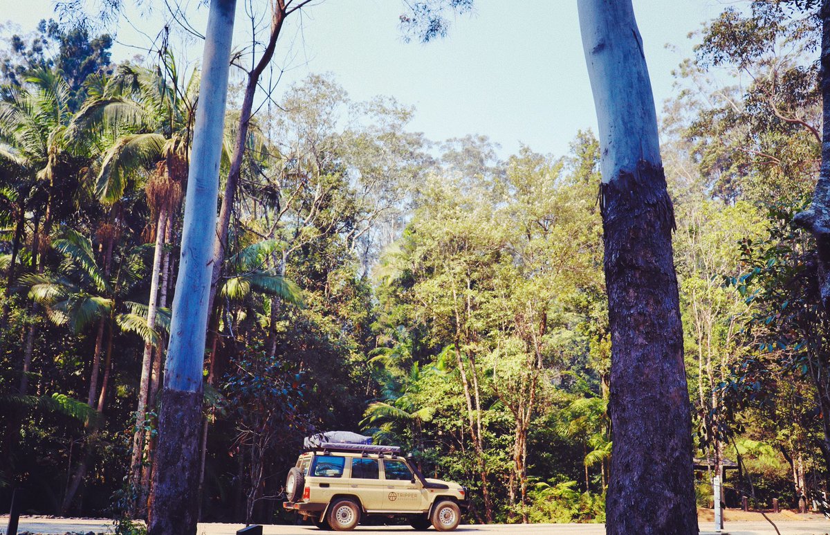 tripperaus's tweet photo. Your adventure awaits 🇦🇺🧭
#rooftoptent #australia #nz #germany #canada #seeaustralia #camping #4wd #usa #stayandwonder #roamtheplanet #ourplanetdaily #beautifuldestinations #exploremore #tripperadventures #seeaustralia #nsw #thegreatoutdoors #travel #instatravel #earthfocus https://t.co/JuZAyMYAlX