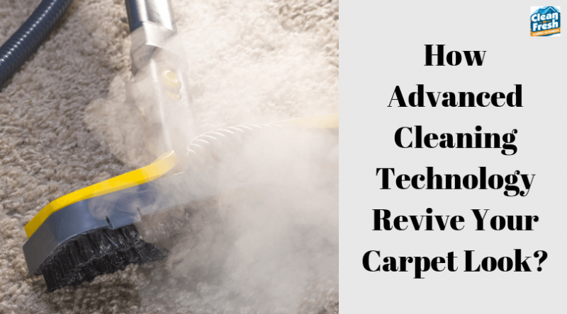 CleanNFresh3's tweet image. How Advanced Cleaning Technology Revive Your Carpet Look?

#housecleaning #housecleaners #housecleaningservice #professionalhousecleaning #besthousecleaningcompany #housecleaninginlongisalandnewyork #longislandnewyork

lnkd.in/fwbQd2e