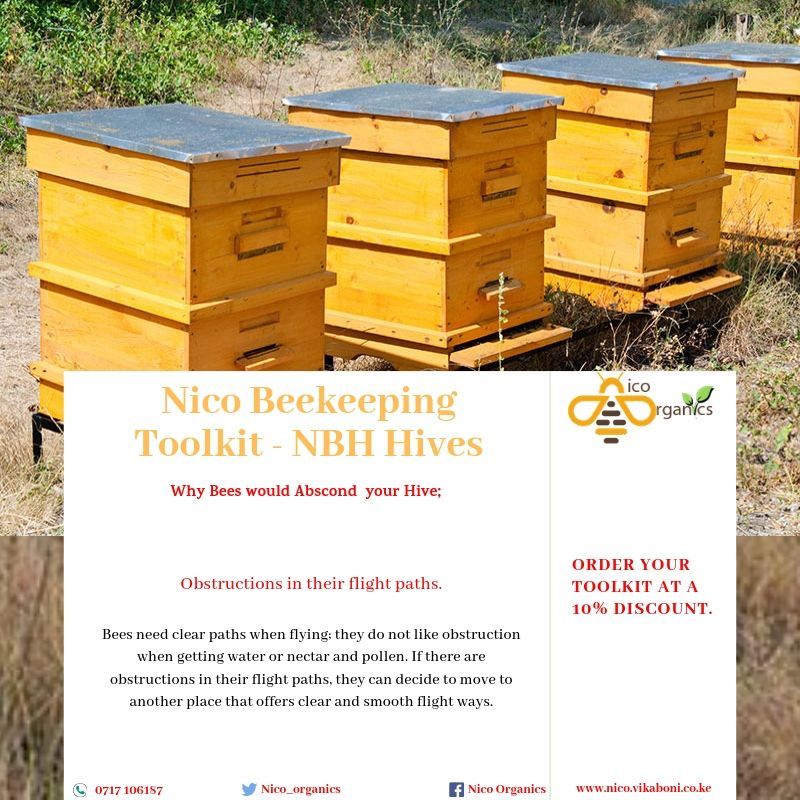Nico_Organics's tweet image. Did you know obstructions are detrimental to the good work and peace of the bees. #Apiarymanagement #Agribusiness #TuesdayThoughts #IkokaziKe @rodgers_kirwa @MESPT_ke @wise_ambrose_