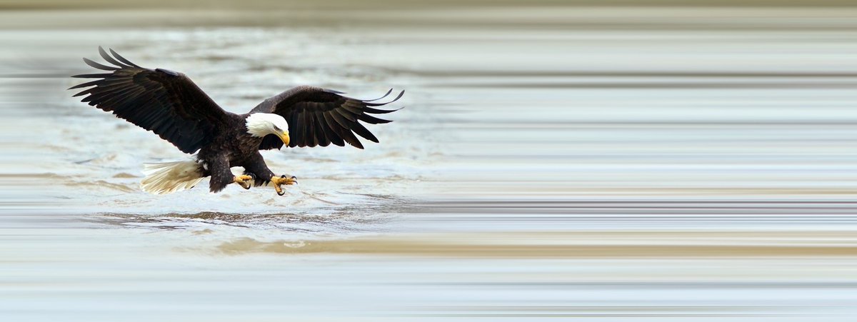 Hoe weet je of je de juiste initiatieven selecteert? Hoe hou je grip op wat er speelt binnen jouw organisatie? Dit is waar je begint met project portfolio management. 
ow.ly/XoHN50vV36p #ppm #projectportfoliomanagement
