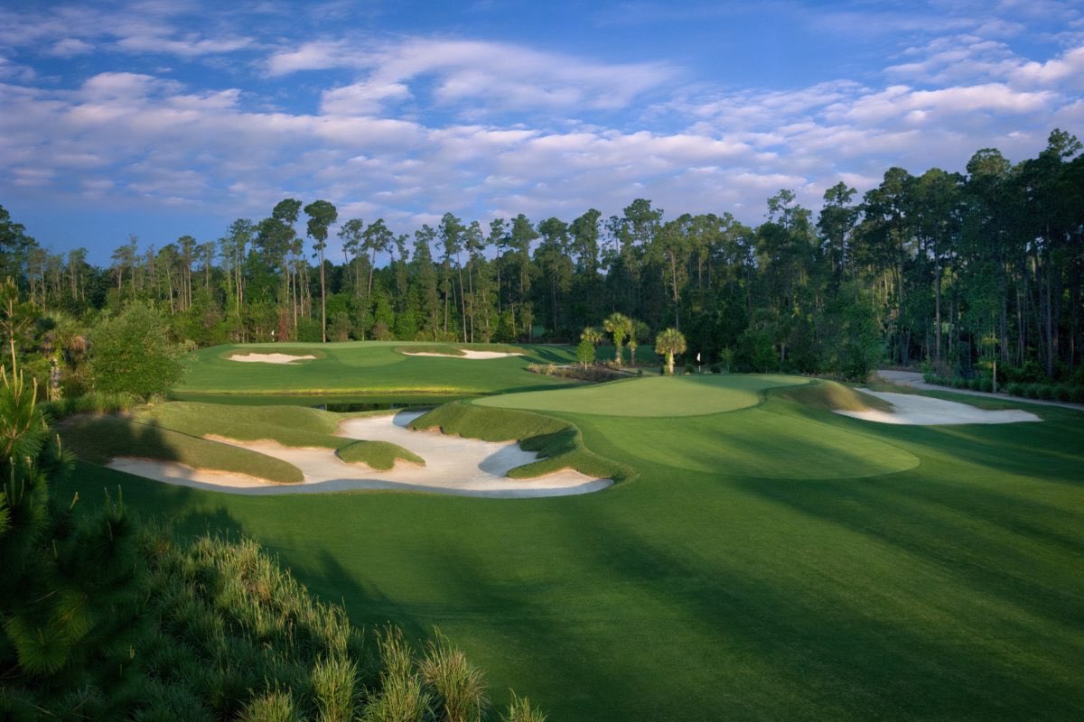 golfers_reviews's tweet photo. Golf review - 🇺🇸 Waldorf Astoria Golf Club

Tags: #golf #golfing #golfcourse #golfDay #golfCourses #golfcourseLife #golflife #golfIsfun #waldorfAstoriaGolfClub #reesJones #golfUSA #golfNorthAmerica #golfFlorida

Played it? Rate it! > https://t.co/gDmdbDSyPh https://t.co/2JLDsEkOxm