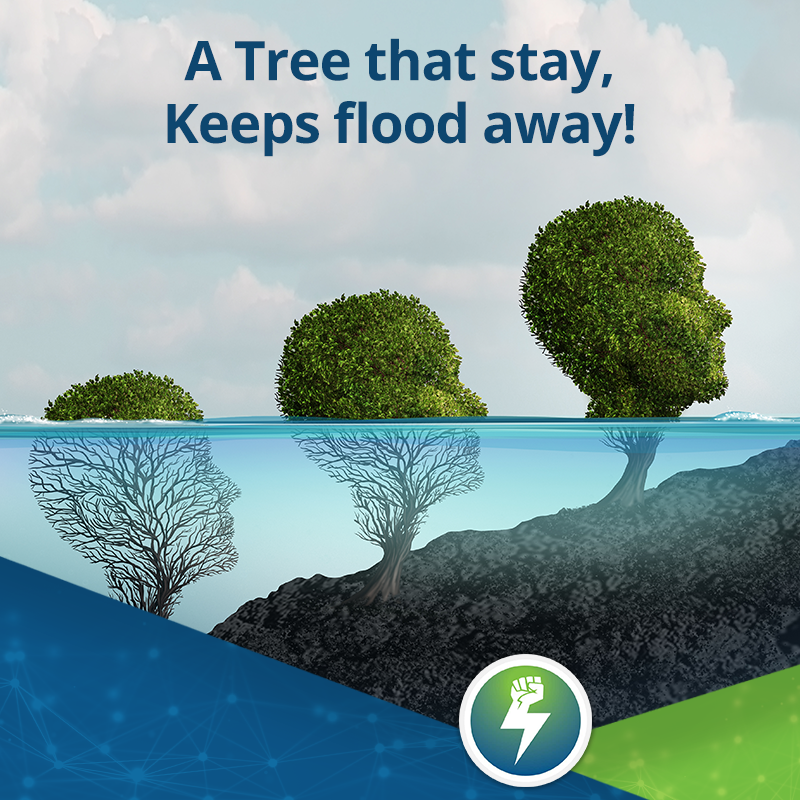 Forests are our greatest natural wealth, and if we wish to treasure it we need to protect it by putting an end to deforestation.
.
. 
#4new #bitcoin #waste #wastetoenergy #deforestation #trees #forests #altcoin #environment #clean #healthy #cryptocurrency #crypto