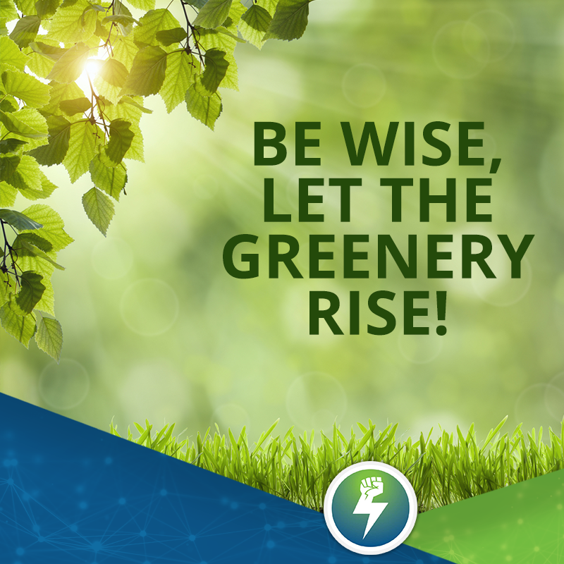 Let all be responsible and do some act of care, by cleaning the polluted air to breathe clean and live green.
.
.
#4new #bitcoin #waste #pollution #saveenvironment #airpollution #greenplanet #cleanplanet #stoppollution #altcoin #environment #clean #healthy #cryptocurrency #crypto