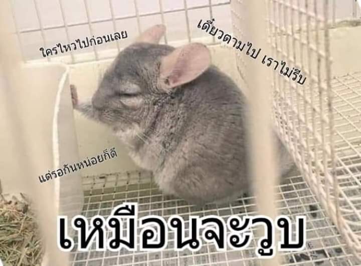 Mameelala2's tweet photo. เนี่ย ทำไมต้องยิ้มน้วยๆแบบเนี้ย
ไม่รู้หรอว่าน่ารัก น่ารักแทบตาย น่ารักแบบใจจะวาย 
อึนซัง น่ารัก น่ารัก น่ารักมากกกก
ถ้าชั้นเพนคนนั้นชั้นคงจะวูบลงตรงนั้น...

#LEEEUNSANG https://t.co/mda9efOU4s