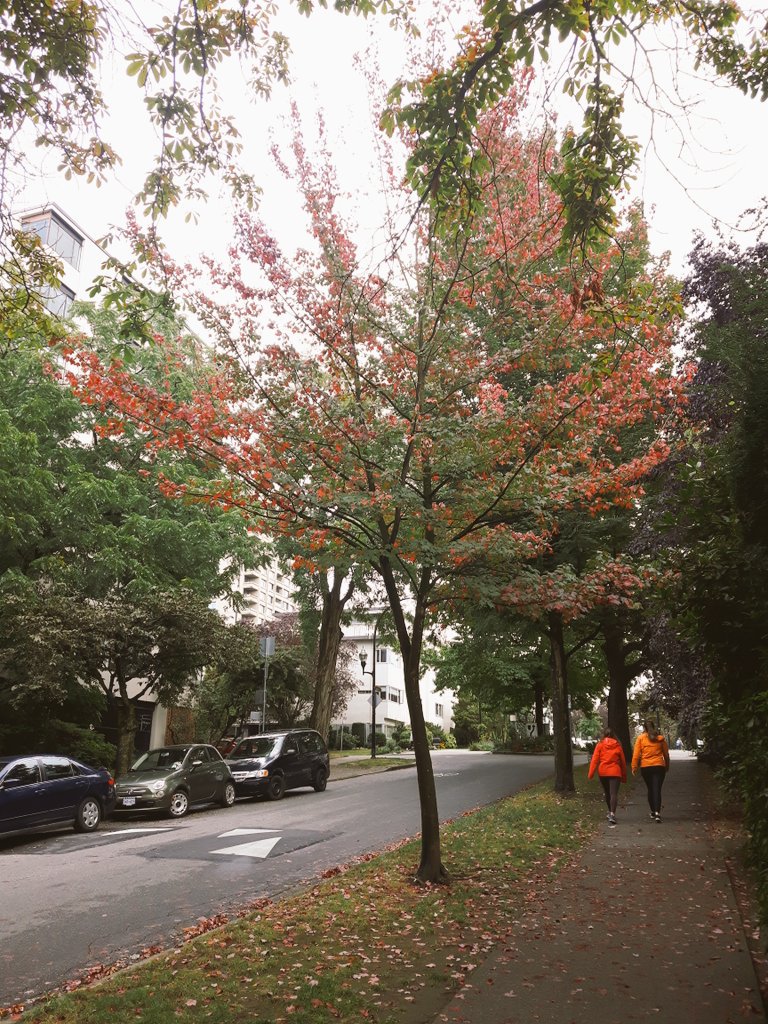 misswestYVR's tweet photo. It definitely feels like September! 🍂 It was fun while it lasted Summer!  Great time to be spending it indoors!  Don't you think? 💓

#gfe #vancouverdate #vancouverescort #yvrescort #escort #playmate #letsplay #vancouvercompanion #yvrcompanion #mercedeswest #escapewithme https://t.co/KEQ5zoAPyu