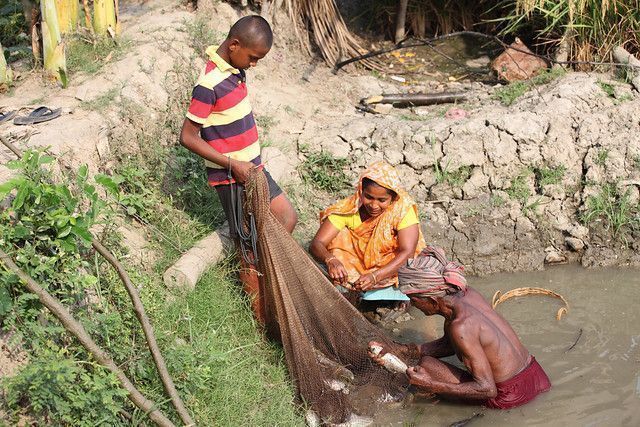 CrawfordFund's tweet photo. . @FISH_CGIAR & @WorldFishCenter are working with @CGIARclimate to reduce climate risks for farmers and #fisheries by providing timely, reliable information through an ICT-based delivery system: https://t.co/MtO0ifRvPq #aquaculture #TransformAgCIS @CGIAR https://t.co/3LAe96niuu