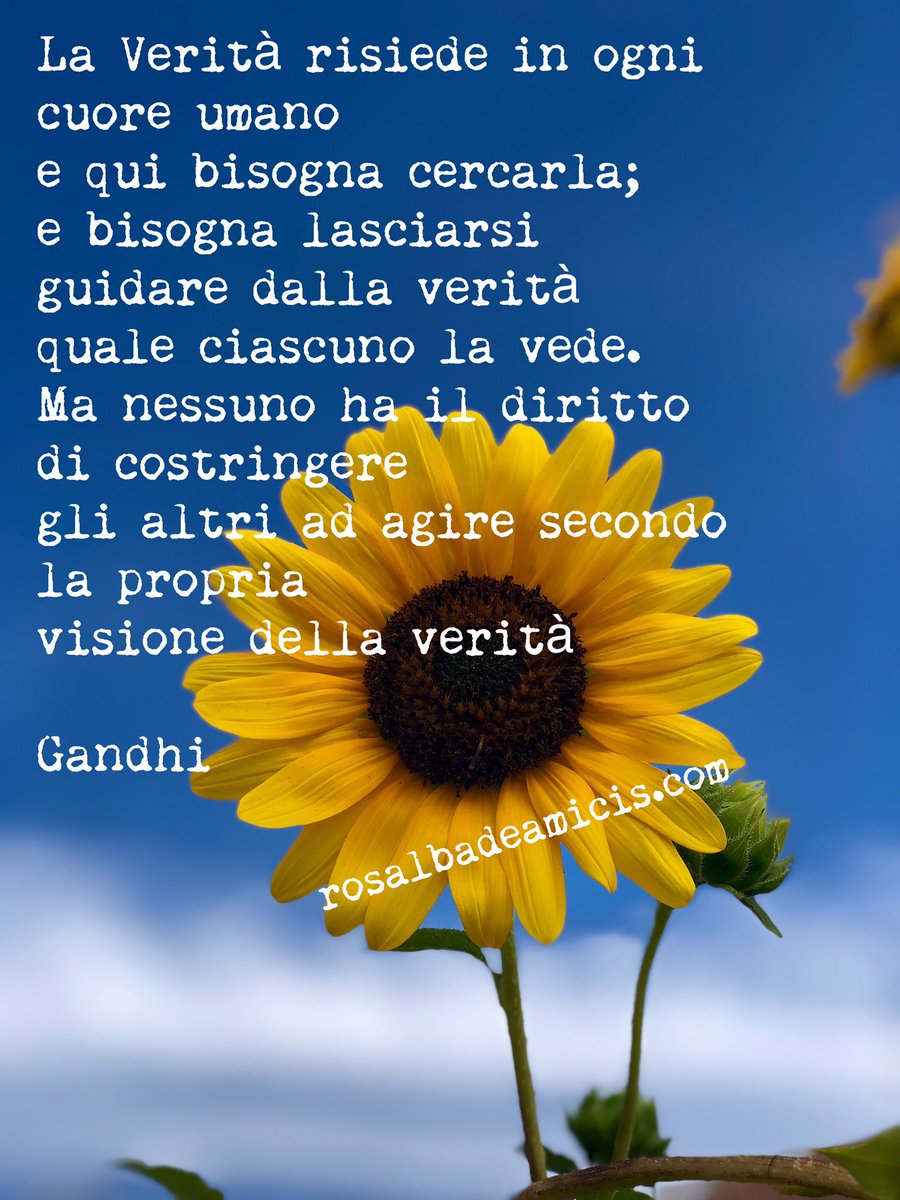rosideamicis's tweet image. La Verità come Dio...

rosalbadeamicis.com