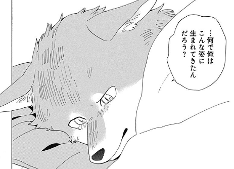 ふじの 新刊 井上くんはじめませんか 発売中です よろしくお願いします T Co 7qyttyyhyj Twitter