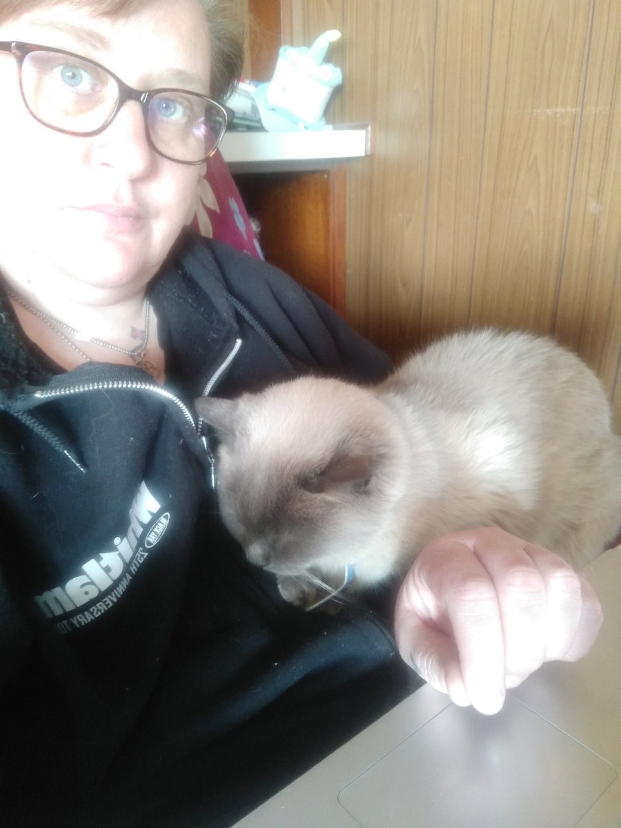 witchin_fiction's tweet photo. Simba's "helping" with my research. #writer #witch #amresearching #witchinfiction #spooniewriter #witchwriter #author #selfpublished #cats https://t.co/RZqL5PEWhu