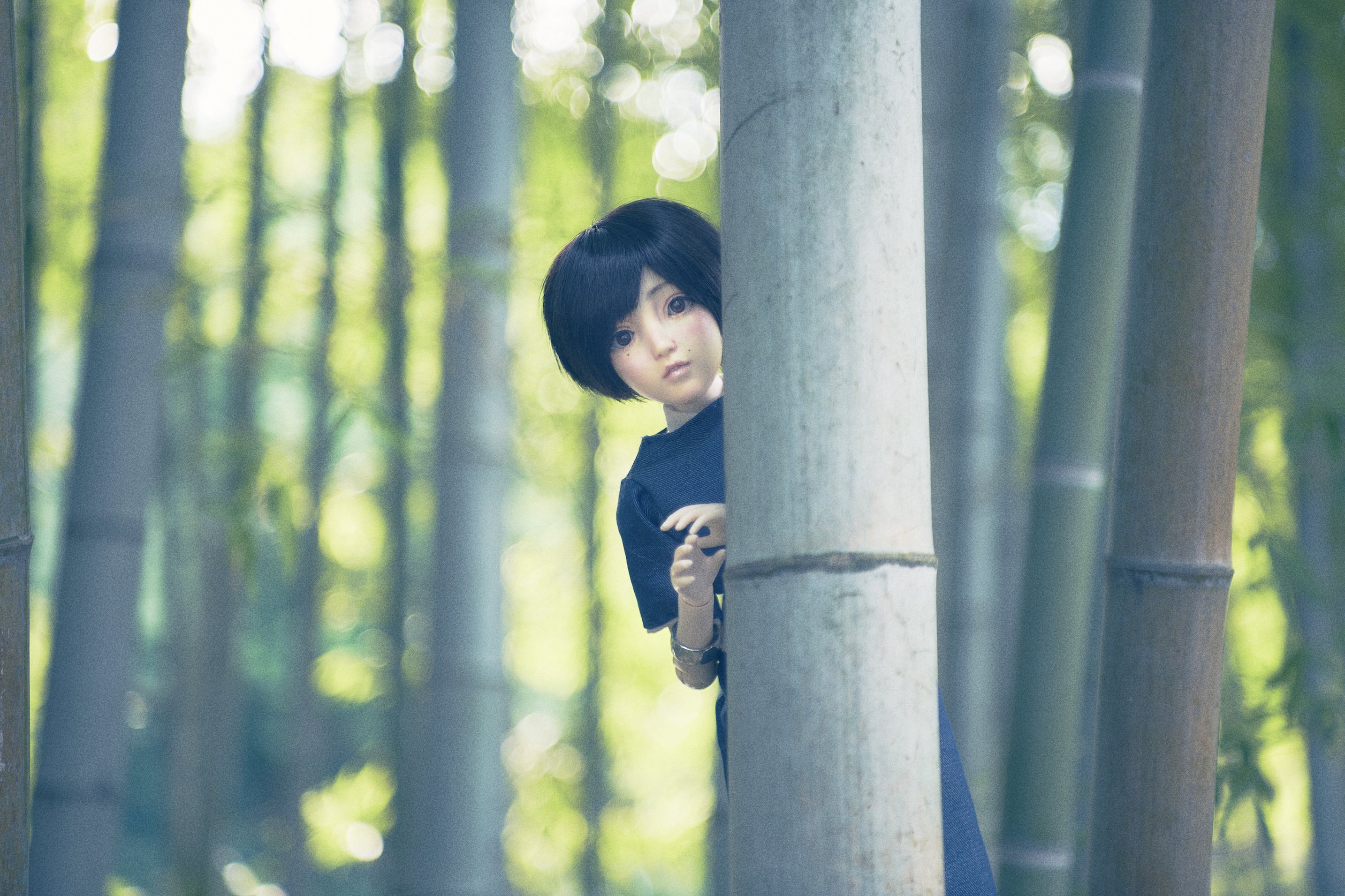 江古田の森公園 Twitter Search Twitter