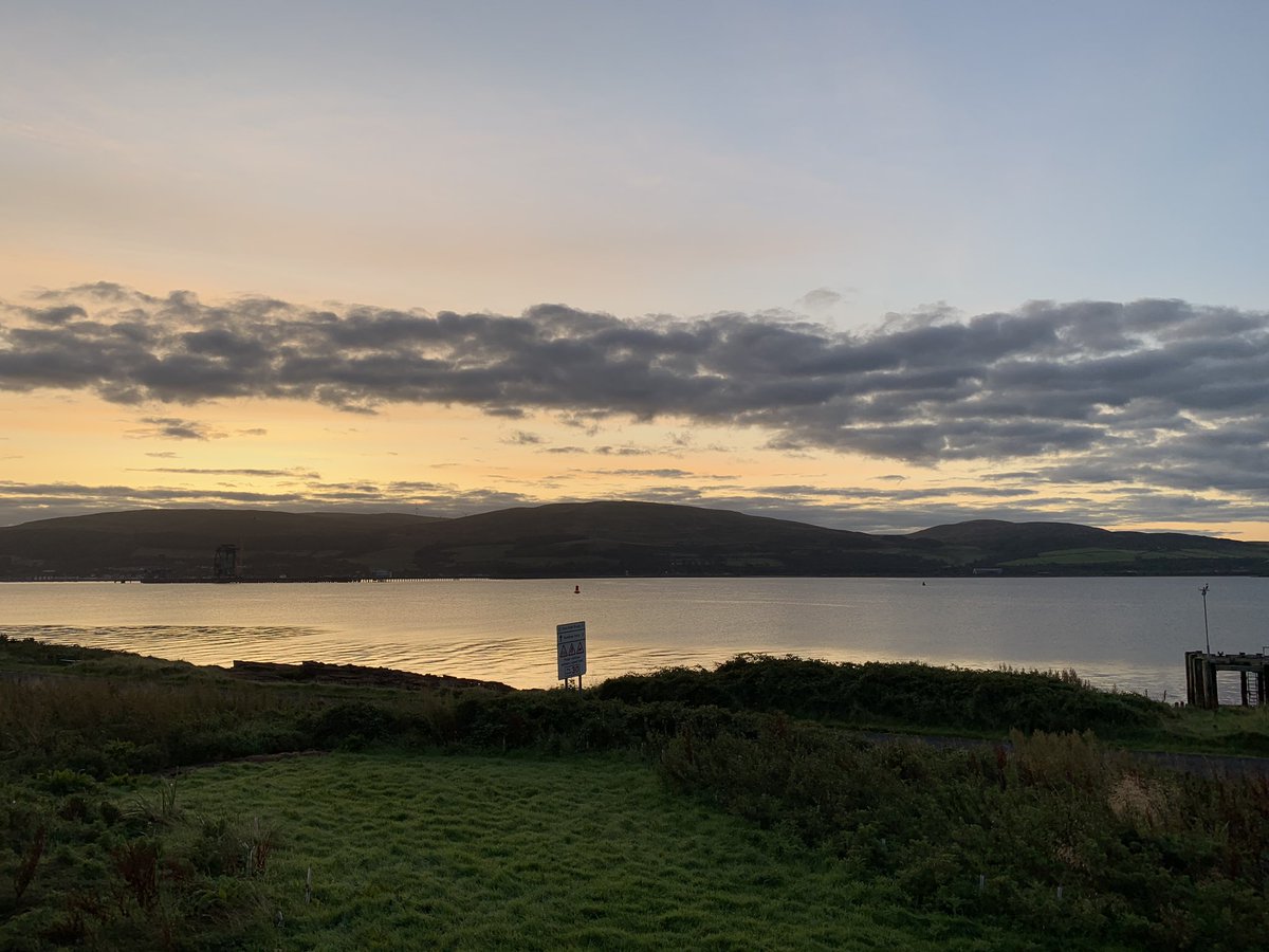 Steven Le Comber tweet media