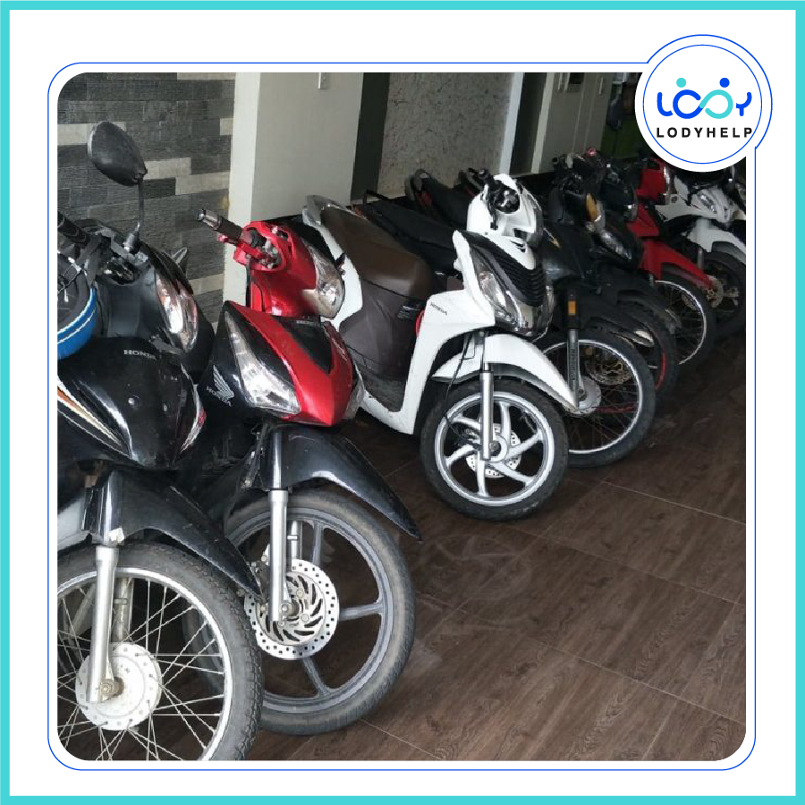 lodyhelp's tweet photo. [Best to rent]

ANNA THANH – GOOD MOTORBIKE FOR RENT IN DA NANG CITY

🔺 Location: 82 Le Van Huu street, Ngu Hanh Son district, Da Nang city

👉See full information: https://t.co/AWyK5YJtN8
-------------------------
#Lodyhelp #Lodyhelpservices #Lodyhelptorent #motorbikeforrent https://t.co/OKFosDe58Y