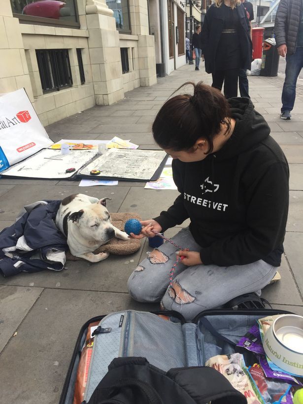 rachelspenceruk's tweet photo. Earlier in the year I helped Jade Statton from @StreetVets_ gain national media coverage for the amazing charity in the Mirror, securing the charity vital funds and incredible exposure! I can help your pet business do this too: https://t.co/SDrvOQDkm0 #PetBiz #SmallBiz #PetPR https://t.co/ZHsNLzPTT8