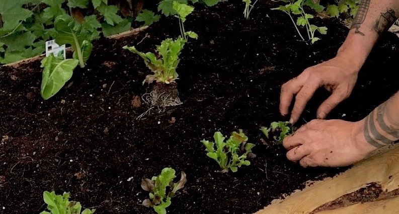 ferraralberto's tweet photo. La vita è poema che alcuni scrivono, altri dipingono, altri cantano o ballano; noi viviamola con i colori della gioia, della speranza: allora sii gentile, sii umile, sii semplice e raccogli il meglio, ignora le offese: credi in ciò che fai e avanti con coraggio. Buona giornata! https://t.co/jToKDZDi8u
