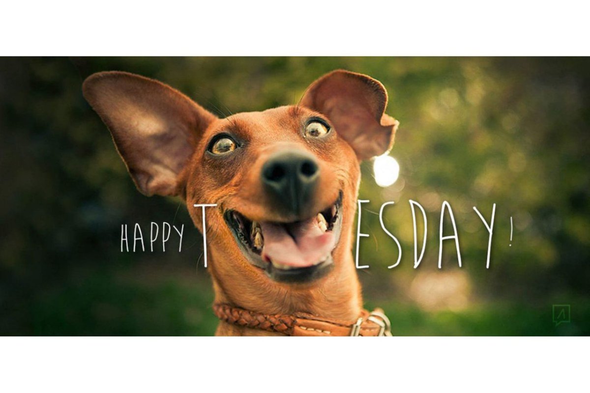 Good morning all... happy Tuesday
Another busy week getting our trade centre up and running. 😁