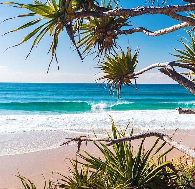 AngusBenham's tweet photo. Day dreaming of warmer weather 😊
-
-
#southwestrocks #cruisingAustralia #wanderaustralia #wow_australia #landscapelovers #roadtrips #vacationmode #instatraveling #seeaustralia https://t.co/A7Wp3egXK4 https://t.co/yuXM8OYYSe