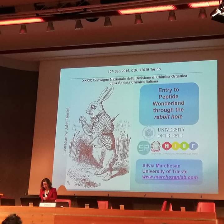 SCIorganica's tweet photo. "The peptide wonderland", invited keynote di Silvia Marchesan al #cdco2019 da @SciGiovani @MarchesanLab. Grazie Silvia per questo meraviglioso viaggio attraverso la chiralità dei peptidi. https://t.co/FjoZ0bXQXP