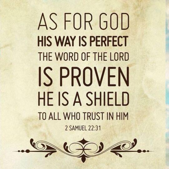 dccf2019's tweet photo. 2 Samuel 22:31 https://t.co/EMhjErgTJc