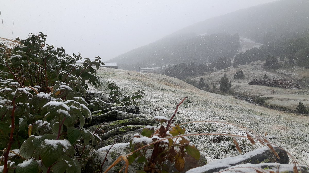 nwpowderdays's tweet image. #PowderAlert 10.09.19
Així anem per les Bordes d'Envalira ❄❄❄❄☝😃 Donem la benvinguda a la neu!