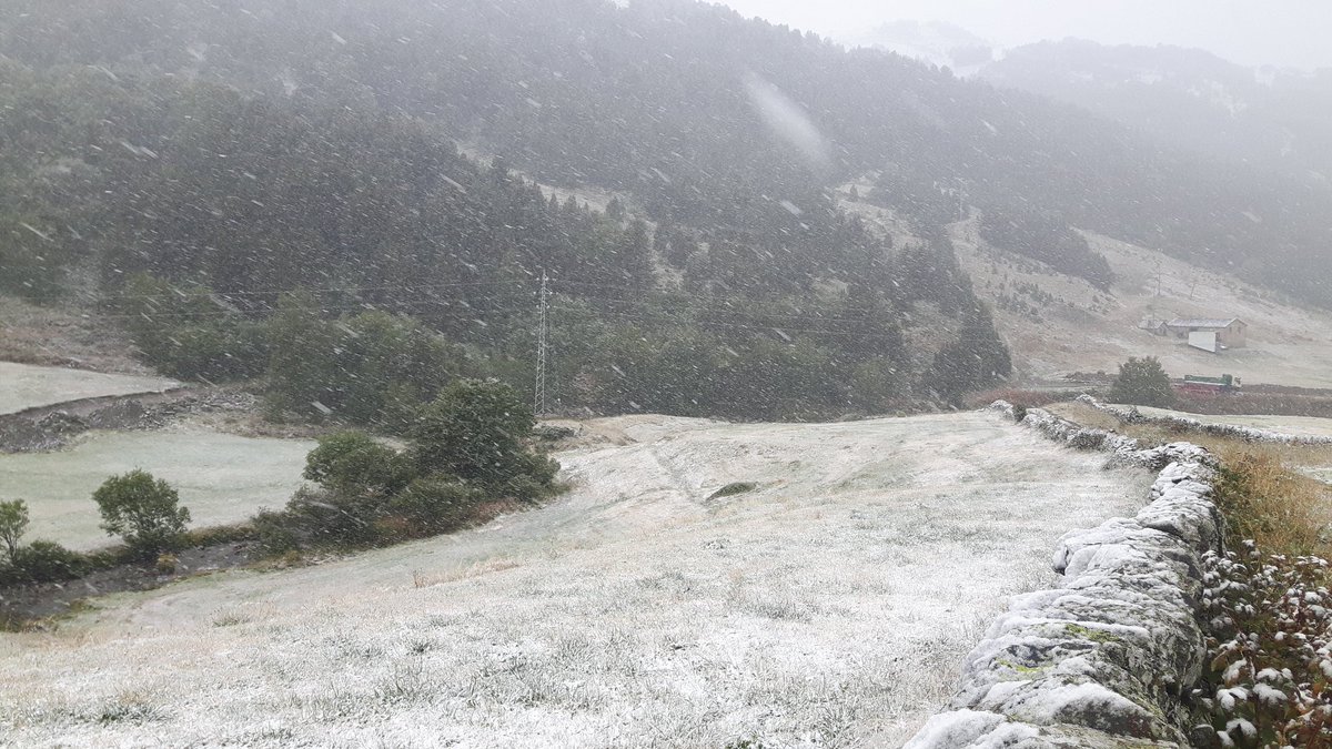 nwpowderdays's tweet image. #PowderAlert 10.09.19
Així anem per les Bordes d'Envalira ❄❄❄❄☝😃 Donem la benvinguda a la neu!