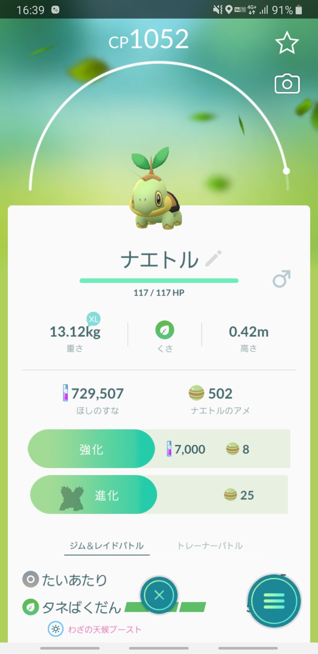 へべれけ Ikucciatropos そうなんですよね この数日 というか昨日から 自分は発生しました 今日捕まえたら出なくなった感じです 普段個体値は一応みてますが オスメスはミツハニーしか気にしてなかったので ナエトルも気にしてみますww Twitter