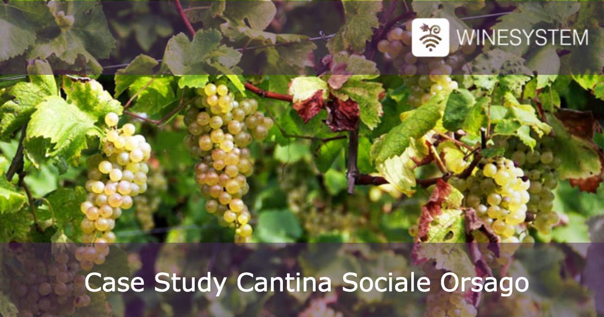 Wine_System's tweet photo. #Wine NFC System è stato scelto anche dalla Cantina #Orsago: la tecnologia #NFC consente di visualizzare tutte le informazioni sui #serbatoi della tua #Cantina in #realtime e di ottemperare quindi alle normative del #vitivinicolo. Scopri di più! >>> https://t.co/z2ekb2wcmO https://t.co/KMmnMuCdWS