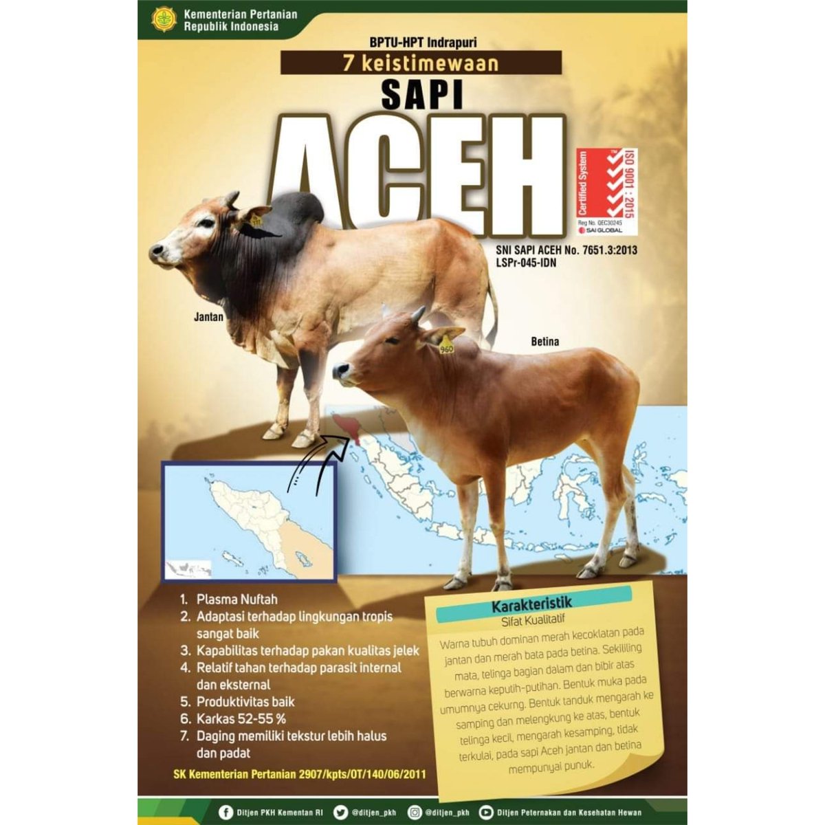 ditjen_pkh's tweet photo. #SobatTernak yuks mengenal #SapiAceh yang merupakan salah satu rumpun sapi lokal Indonesia dan mempunyai sebaran asli geografis di Provinsi Aceh. Sapi ini telah dibudidayakan oleh masyarakat secara turun-temurun

#JayalahPeternakanIndonesia https://t.co/u68bEdIC0F