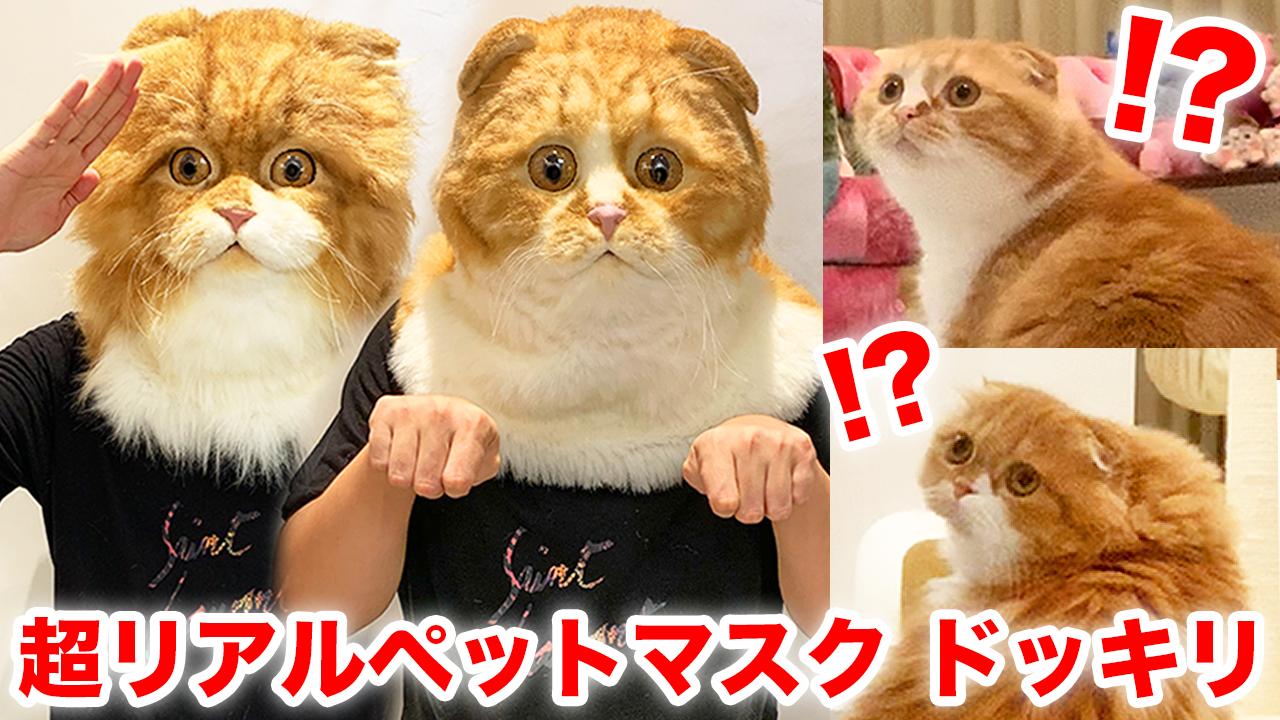 HIKAKIN😎ヒカキン 【YouTuber】 on X: 