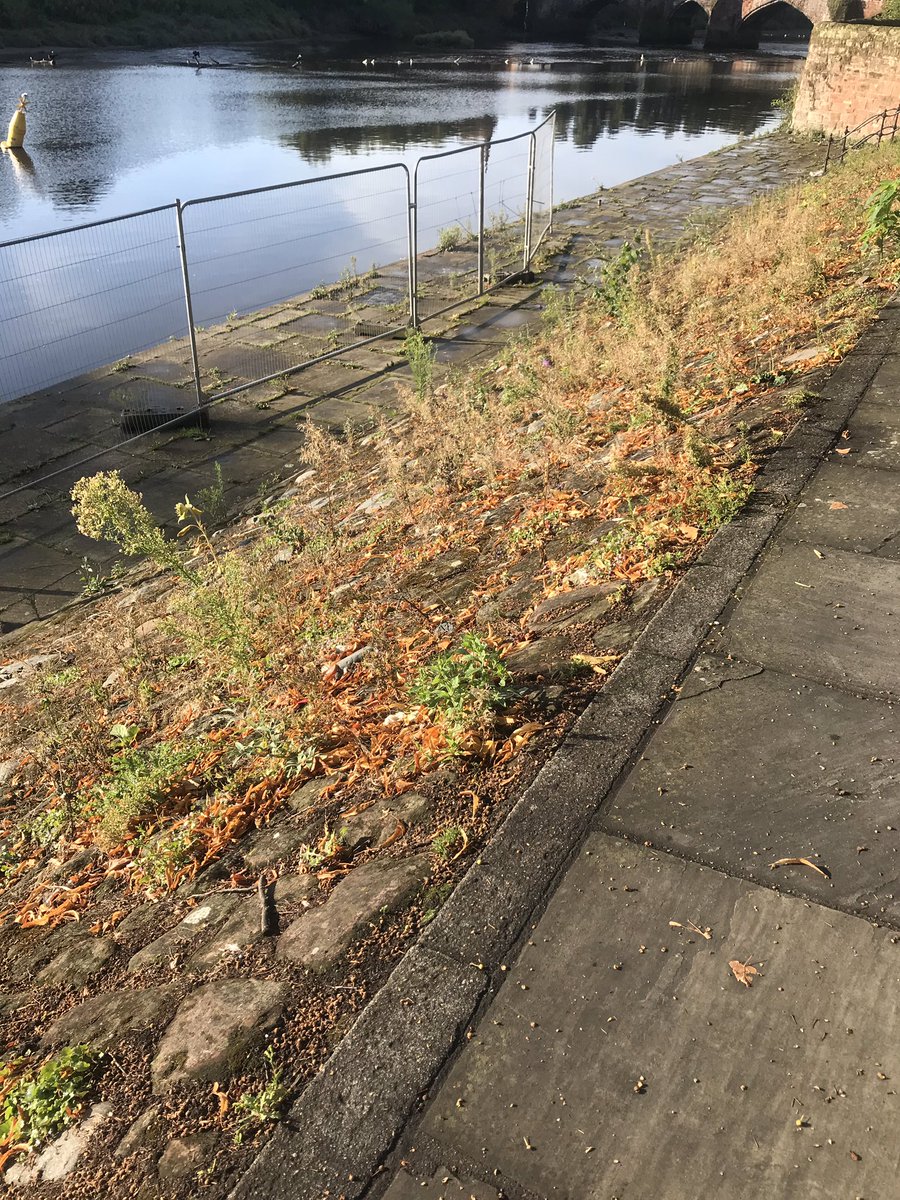 ChesterChapel's tweet photo. Come on @Go_CheshireWest The Grove riverside so neglected -@CllrRDaniels https://t.co/nseG1QTn99