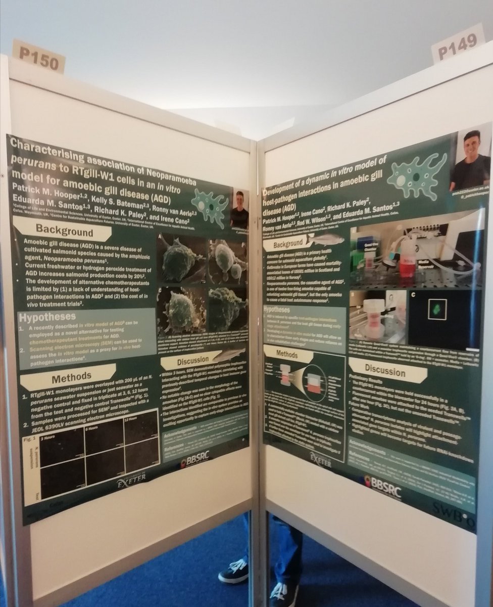 Set up for my first international poster presentation at <a href="/eafp2019/">Eafp2019</a>. Come see our work on #AGD during the poster session today at 15.15!

<a href="/SWBio_DTP/">SWBio DTP</a> <a href="/CefasGovUK/">Cefas</a> <a href="/UoEBiosciences/">Exeter Biosciences</a>