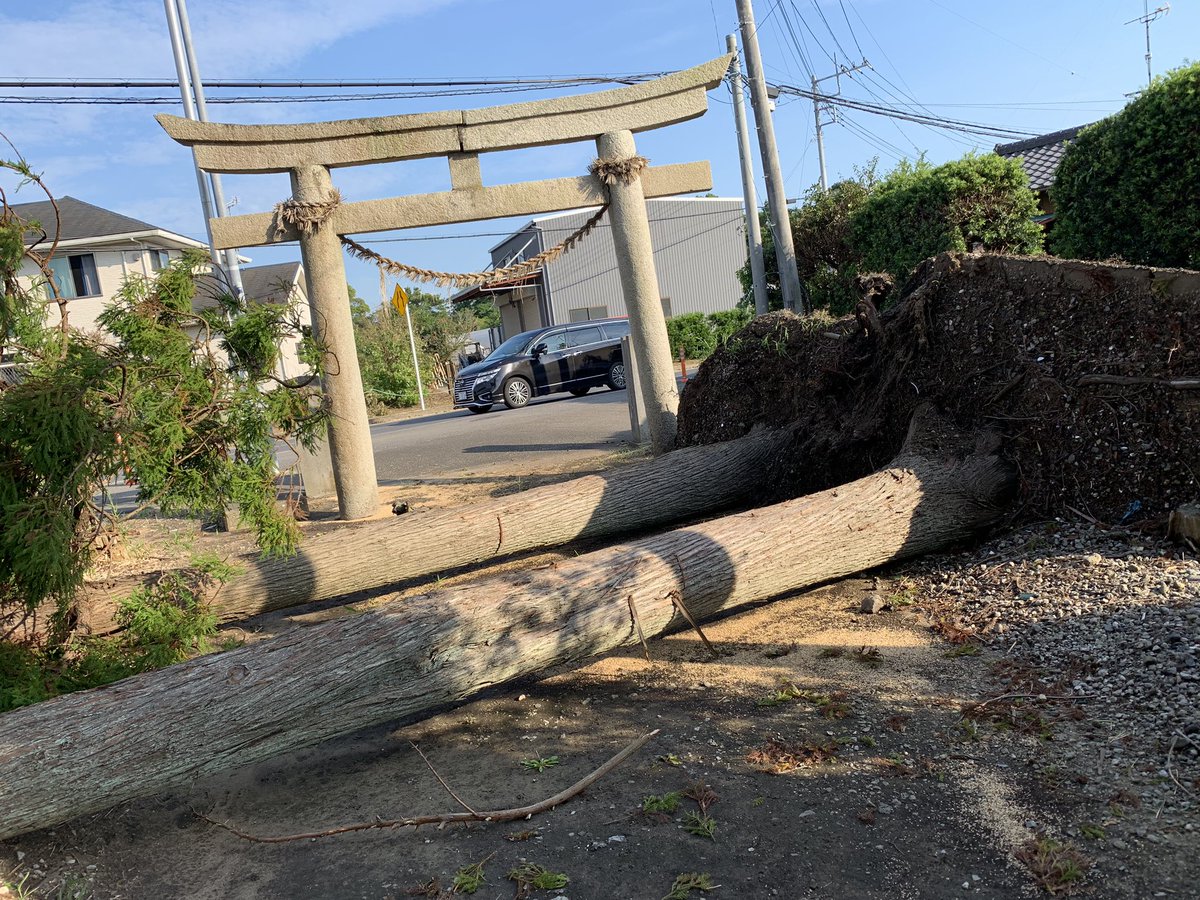 nayonayo17's tweet photo. 千葉、被災がやばい。停電断水2日目。未だに市内の１箇所で給水と充電しか対応されてない。停電してる家は熱中症になるかならないかの瀬戸際。救急車のサイレンがやまない。田舎で近くに公共施設ない地域、捨てられてる。死ねってこと？？？ https://t.co/V4E0SNXKTY