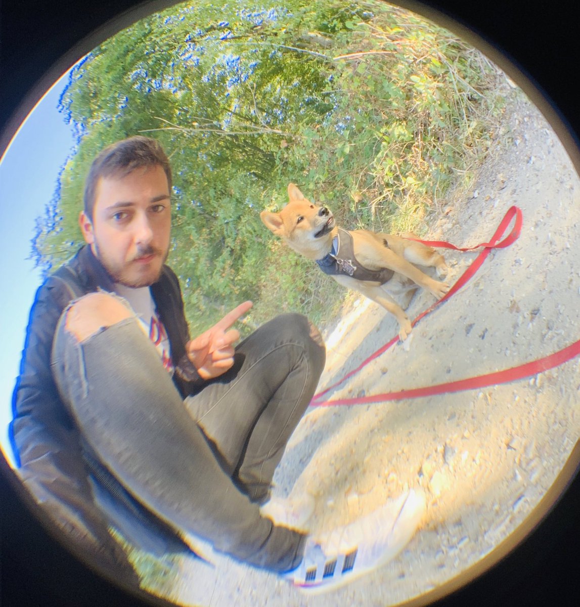 TomaEncarnacao's tweet photo. Tape la pose comme jamais sur la voie verte #PauloLaScience de @villepoissy 🐶🌳 https://t.co/ZkX5CiCcyz