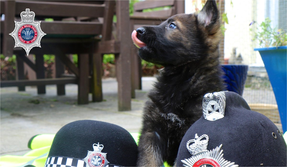 swpolice's tweet photo. It's OK not to be OK. It's OK to talk.

These may be useful:

📞@SamaritansCymru 116123
📞@MindCharity 0300 1233393
📞@CALL_247 0800 132737
📞@NHSDirectWales 0845 4647
📞@Hafal_ 01792 816600
📞@BipolarUK 0333 3233880
📞@weareplatfform 01656 647722

#WorldSuicidePreventionDay

^hs https://t.co/VKu6c5onrU