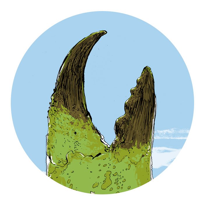 As the nights draw in, you may want to remember... Whitstable's Crabzilla!
New Weird Whitstable prints... SOON!
#weird #whitstable #weirdwhitstable #prints #art #illustration #supernatural #crabzilla #yacht #claw