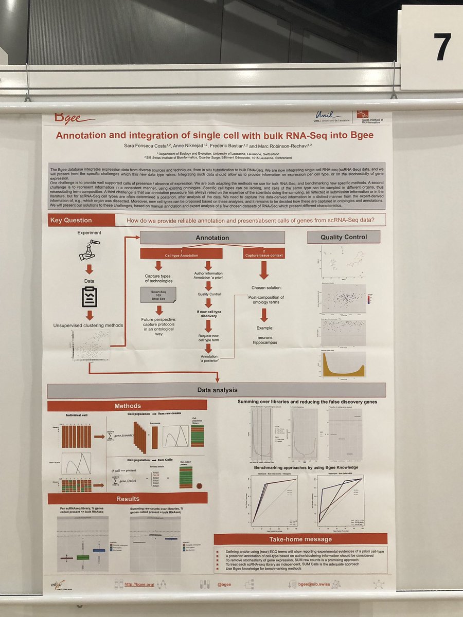 Sara Fonseca Costa (@essepf) on Twitter photo #BaselLife2019 if you want to know more about <a href="/Bgeedb/">Bgee database</a> and how we are analyzing #scRNASeq data please found me at poster 7. #BaselLife2019 if you want to know more about <a href="/Bgeedb/">Bgee database</a> and how we are analyzing #scRNASeq data please found me at poster 7.