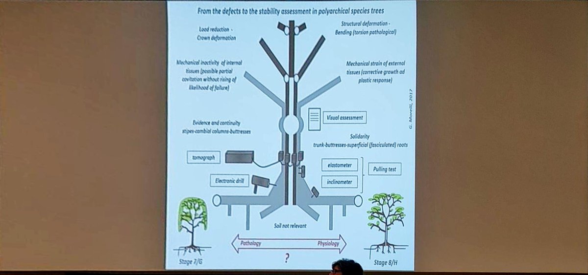 A M Lane Limited tweet media