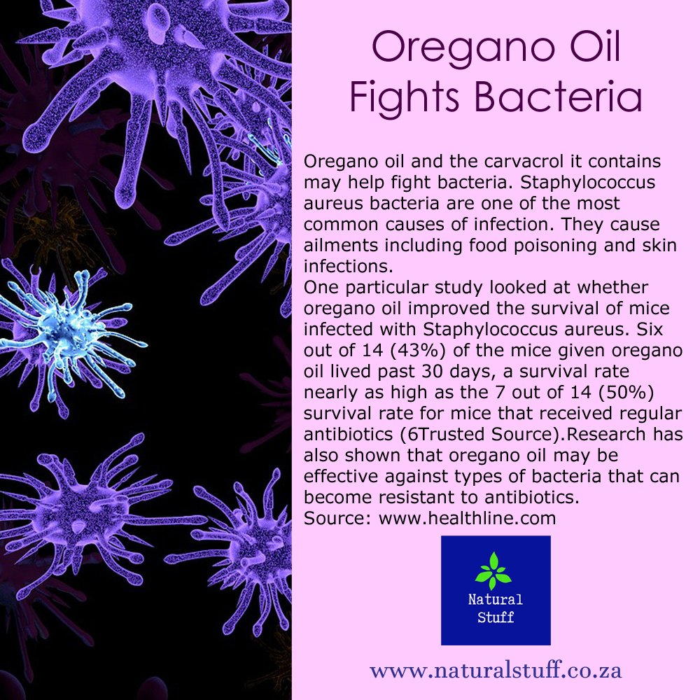 StuffNatural's tweet photo. Oregano oil and the carvacrol it contains may help fight bacteria. Research has also shown that oregano oil may be effective against types of bacteria that can become resistant to antibiotics.
#naturalstuff #oregano #oreganooil #naturalremedies #botalife #naturalhealth #healthy https://t.co/XATJLowV2k