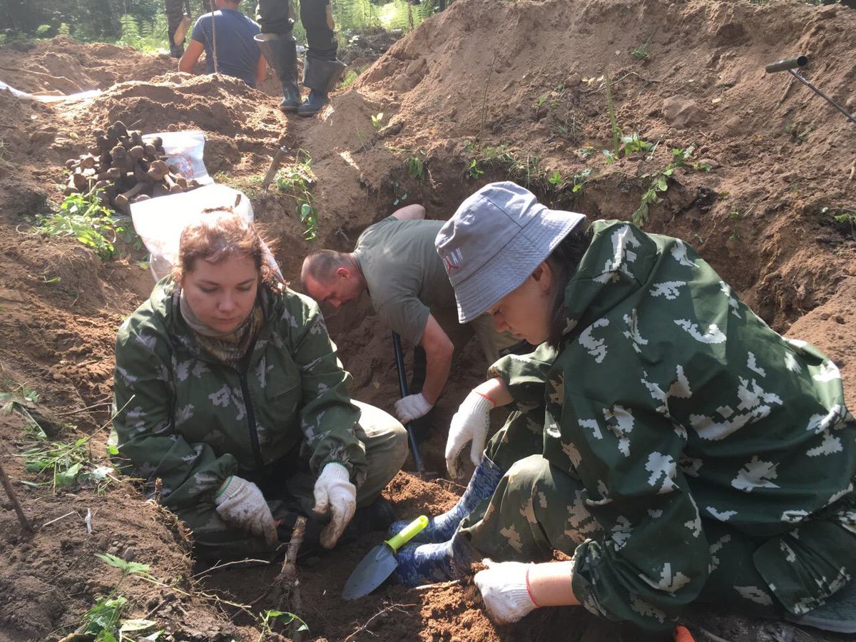 Поисковые отряды дети. Поисковые отряды россии. Поисковый отряд пгт калевала. День неизвестного солдата поисковые отряды. Поисковые отряды солдат.