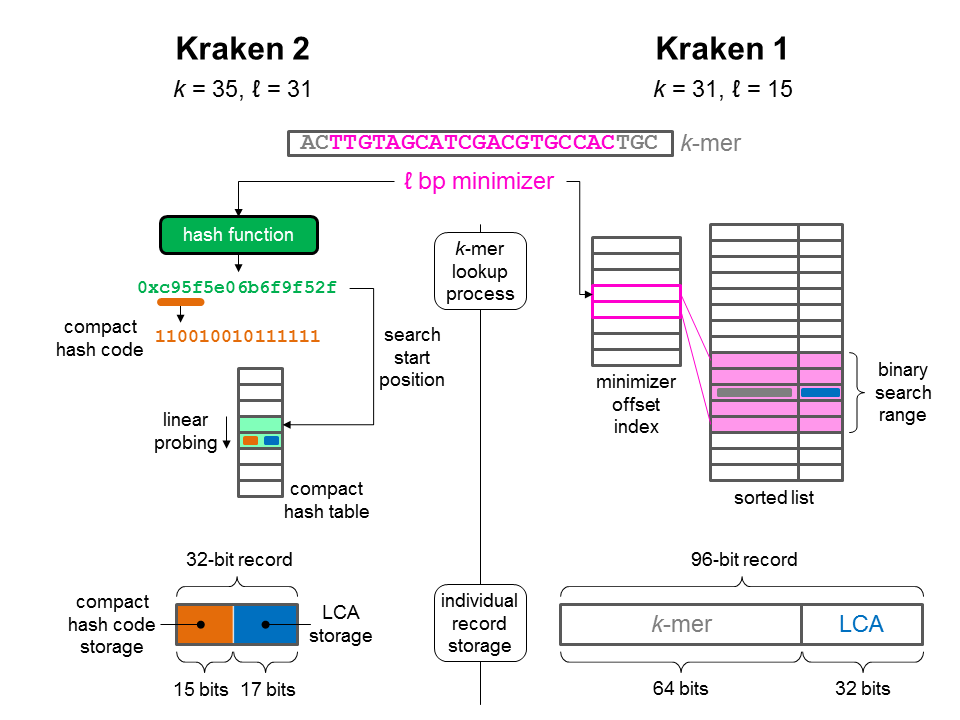 DerrickEWood's tweet photo. For those interested in seeing a bit under the hood, I made this overview of the algorithm &amp; data structure differences between Kraken 2 and Kraken 1. You can read the full details at https://t.co/iwyXXBiARd https://t.co/Q9gTxEjvMG