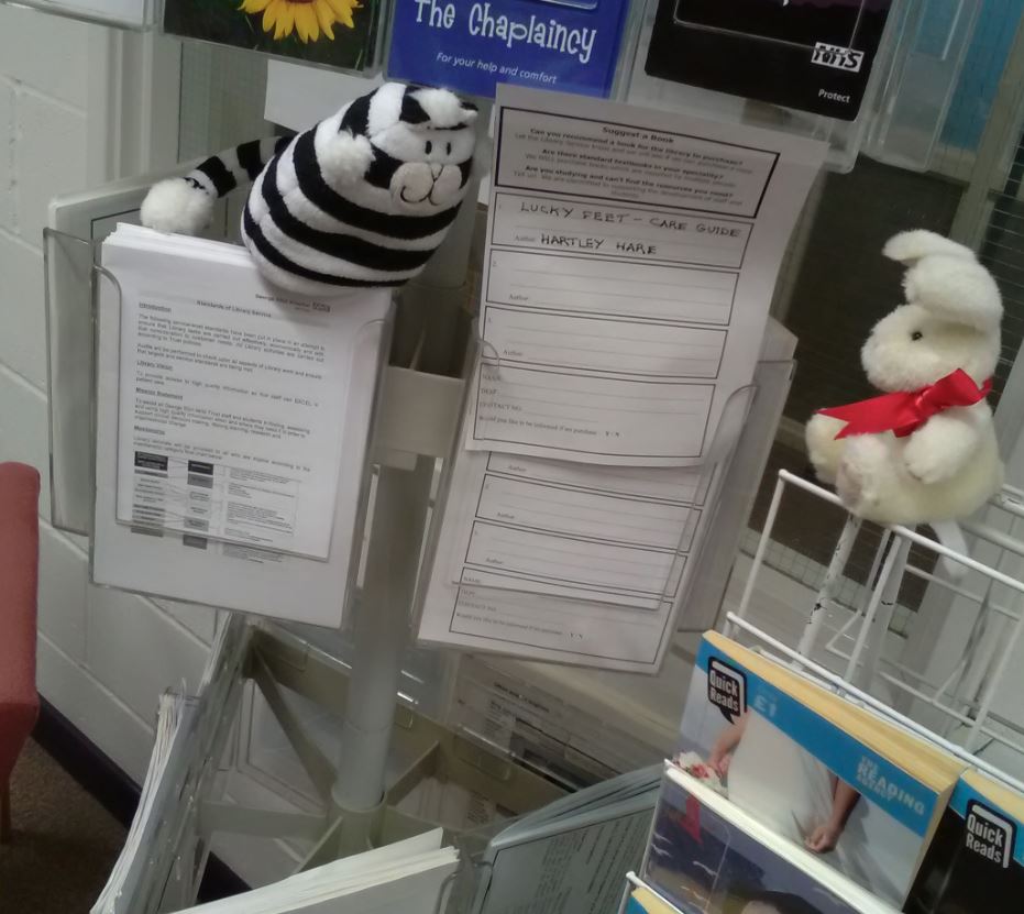 GEHSWFTLibrary's tweet photo. Harvey wants to suggest a book for the Library to buy. He has found the form in the Time Out section and he will hand it in at the issue desk.  "You made that up", says #Billythelibrarycat #teameliot #library https://t.co/QFKt3aA6Es