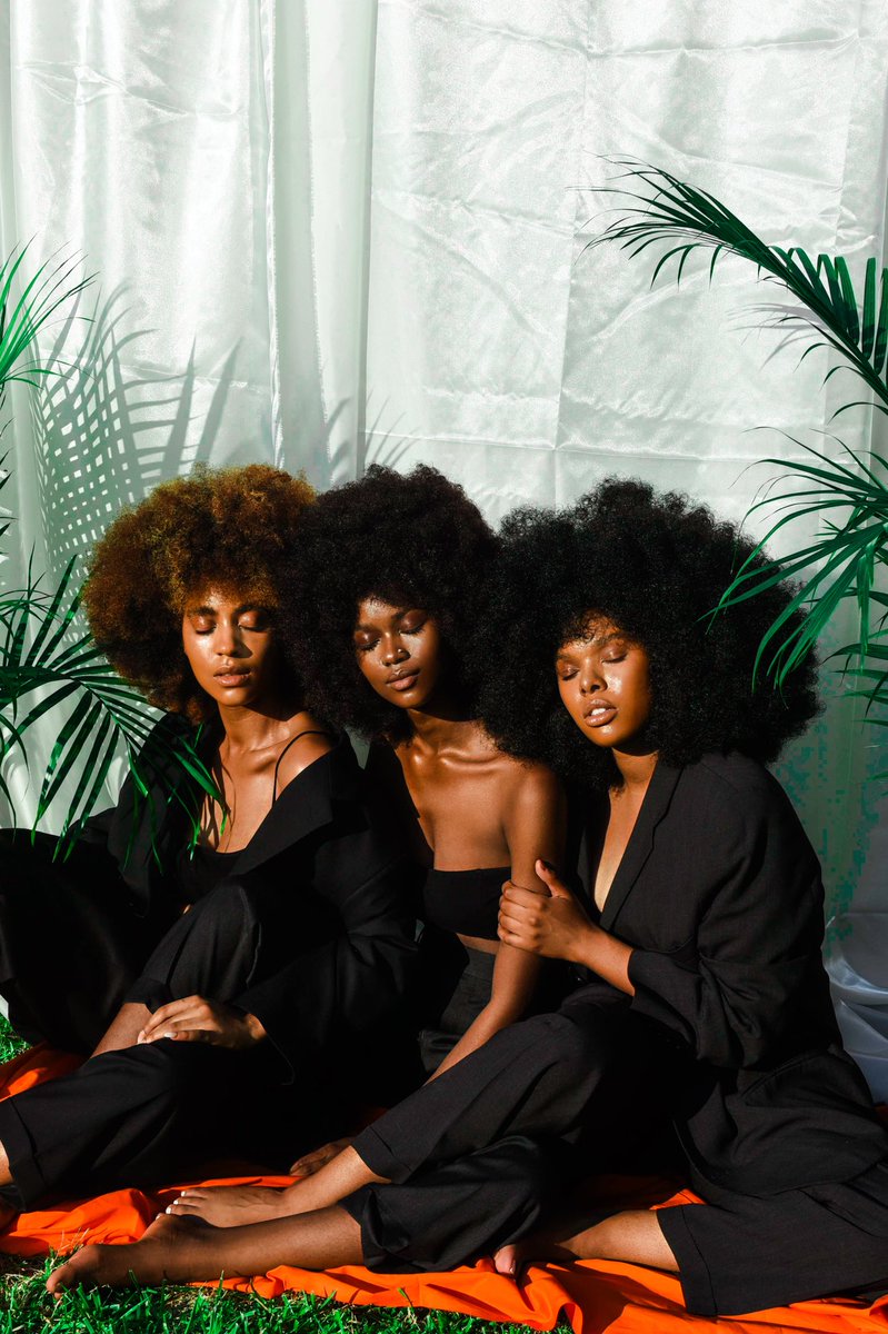 Plant Papi tweet media