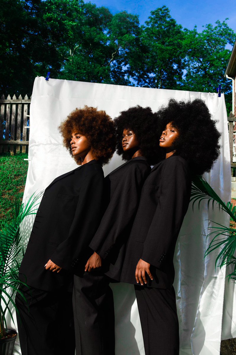 Plant Papi tweet media