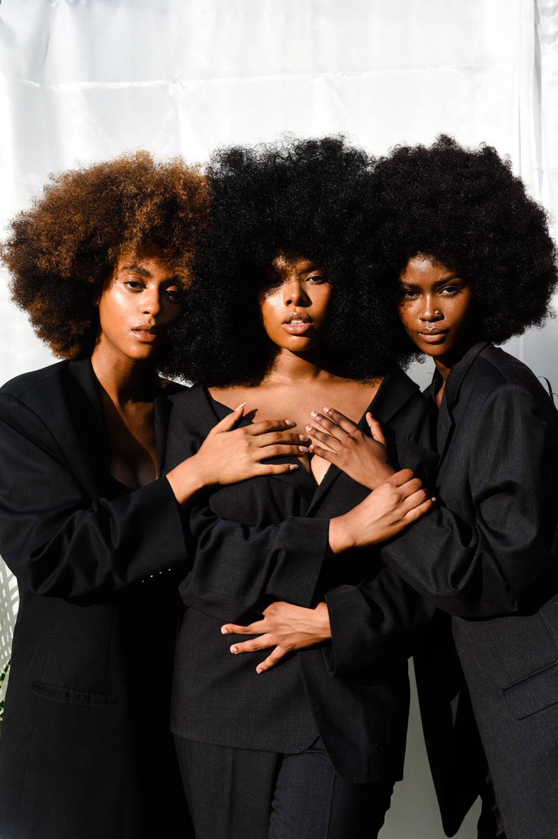 Plant Papi tweet media