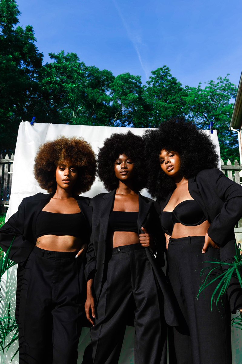 Plant Papi tweet media