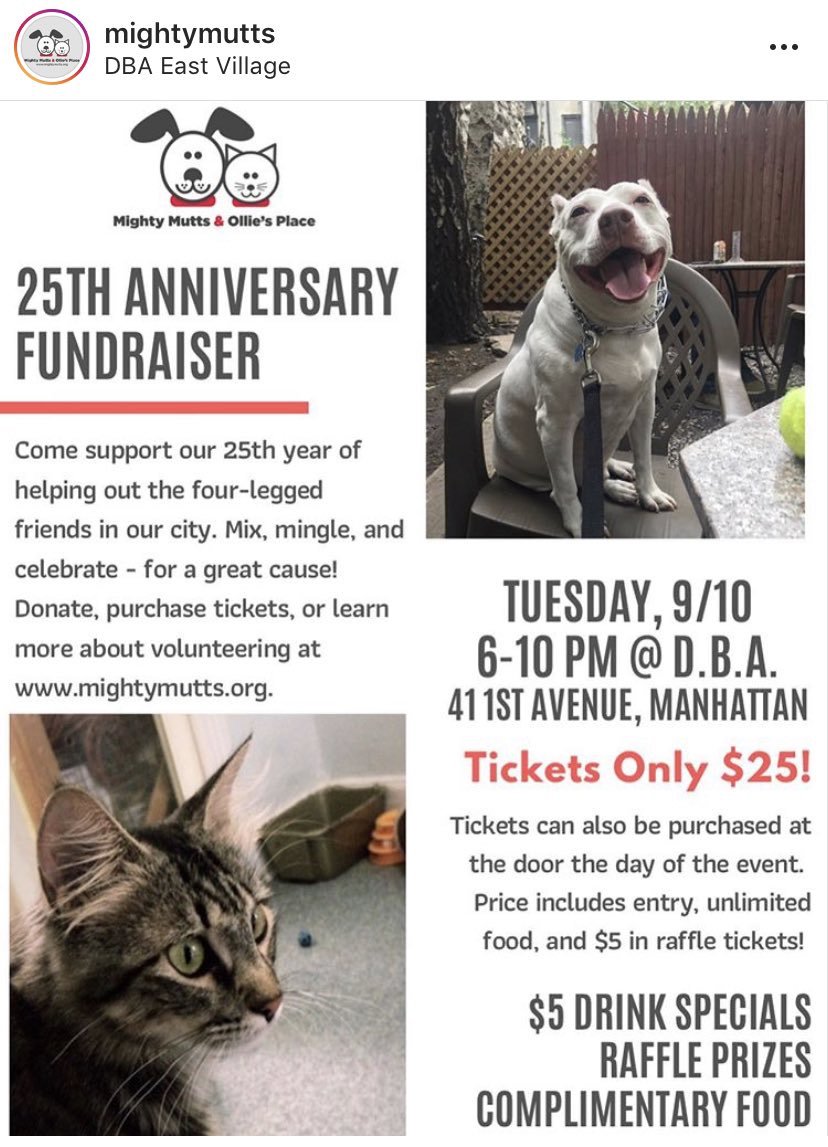 MightyMutts's tweet image. 