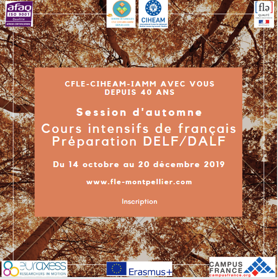 CIHEAMIAMM's tweet photo. 🎉 Et c’est reparti pour une nouvelle année académique! Nous vous accompagnons dans votre #apprentissage du #français depuis maintenant 40 ans. ❣️Merci pour votre confiance!

#CFLE #CIHEAMIAMM #CFLEA40ANS #Montpellier #Occitanie #Frenchcourses #ApprendreFR #learnfrench https://t.co/VxC7kjz40L