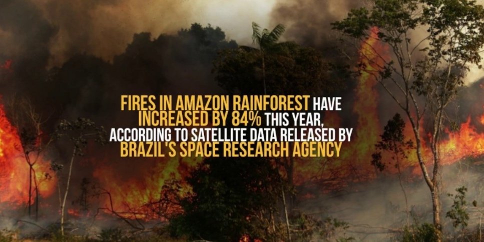 ODeforestation tweet picture